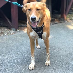 Meet your Posher, Jackie